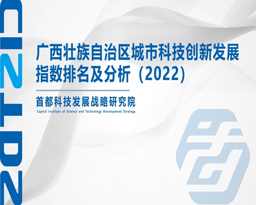 操骚逼逼视频【成果发布】广西壮族自治区城市科技创新发展指数排名及分析（2022）